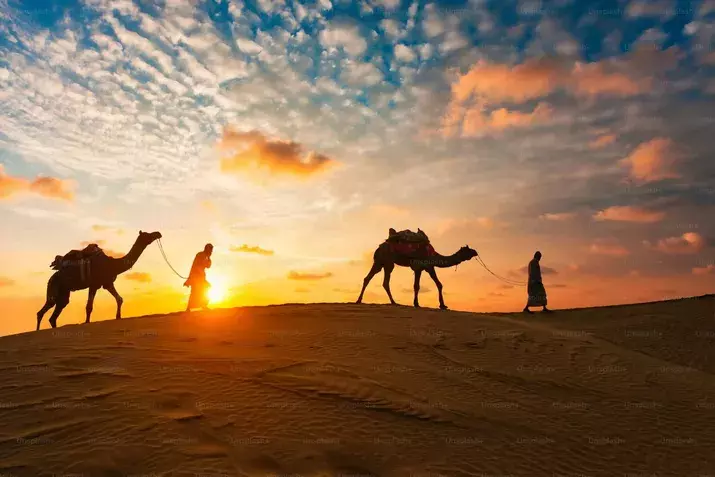 the Dubai Desert Safari Contribute to Eco-Tourism?